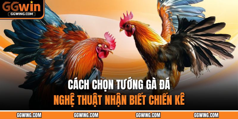 Cách chọn tướng gà đá
