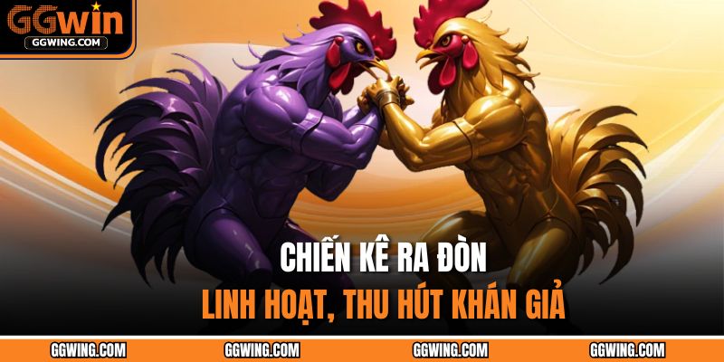 Chiến kê ra đòn linh hoạt, thu hút khán giả