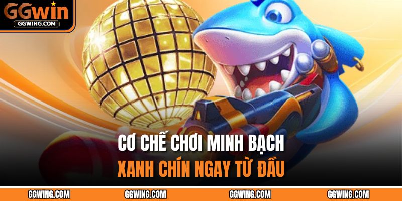 Cơ chế chơi minh bạch, xanh chín ngay từ đầu