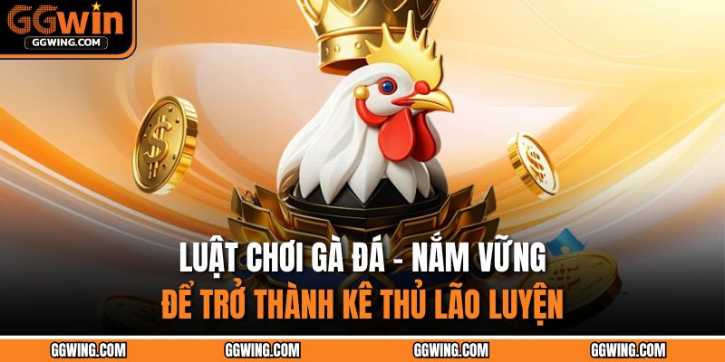 Luật chơi gà đá