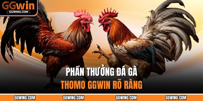 Phần thưởng đá gà Thomo GGWIN rõ ràng