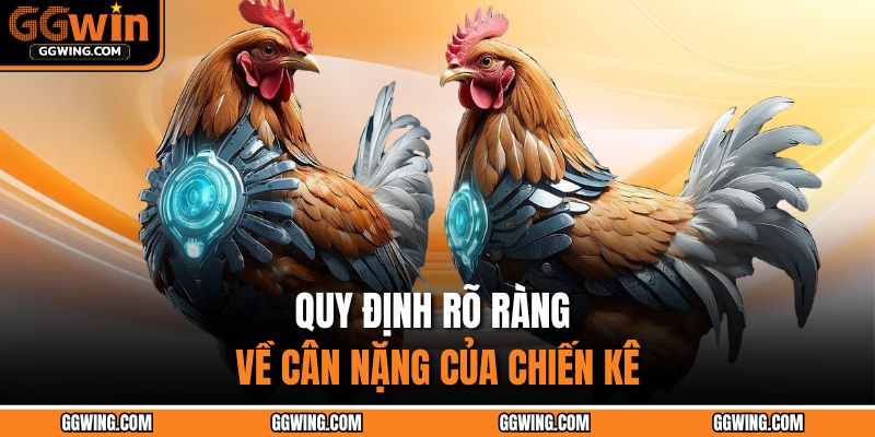Quy định rõ ràng về cân nặng của chiến kê