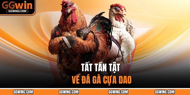 Tất tần tật về đá gà cựa dao